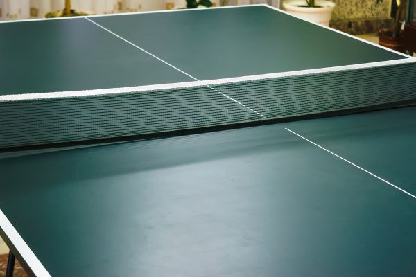 Ping Pong Table Assembly in Beaumont